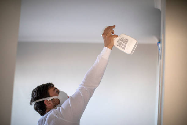 Best Emergency Mold Remediation in Ilco, WA